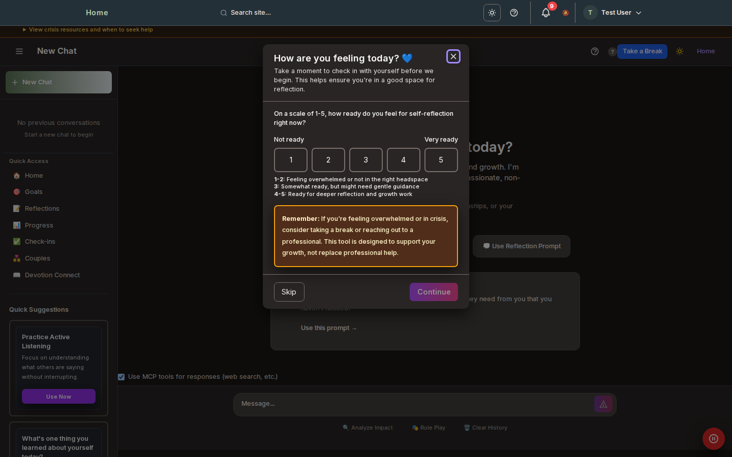 Screenshot: Self-Reflection Chat